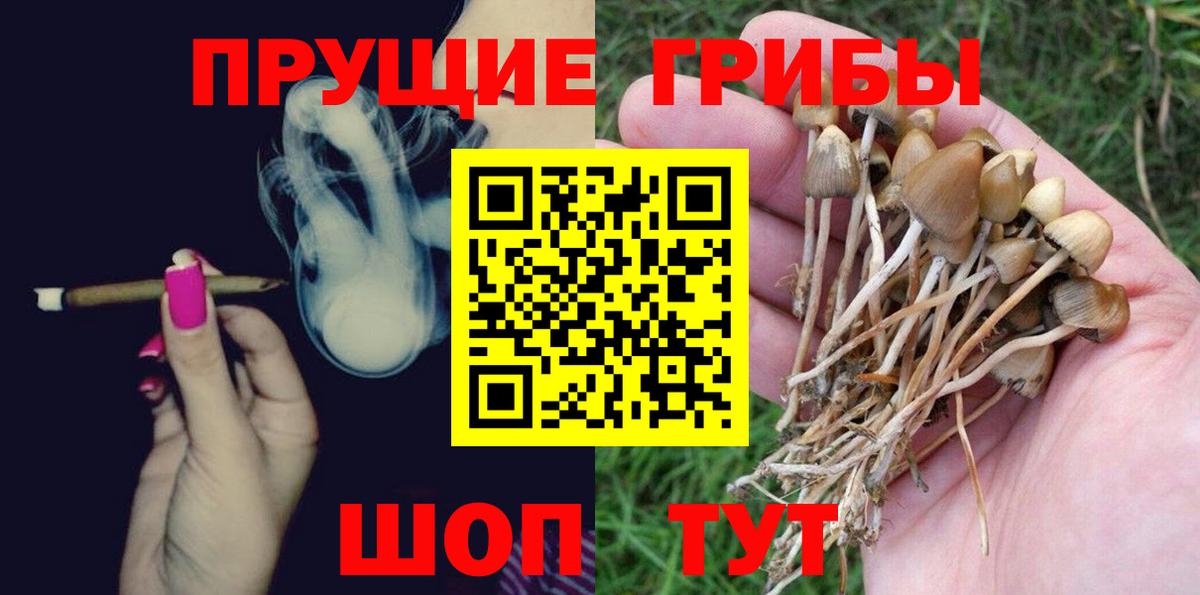 Псилоцибиновые грибы Magic Shrooms  Вход с VPN  Черногорск 